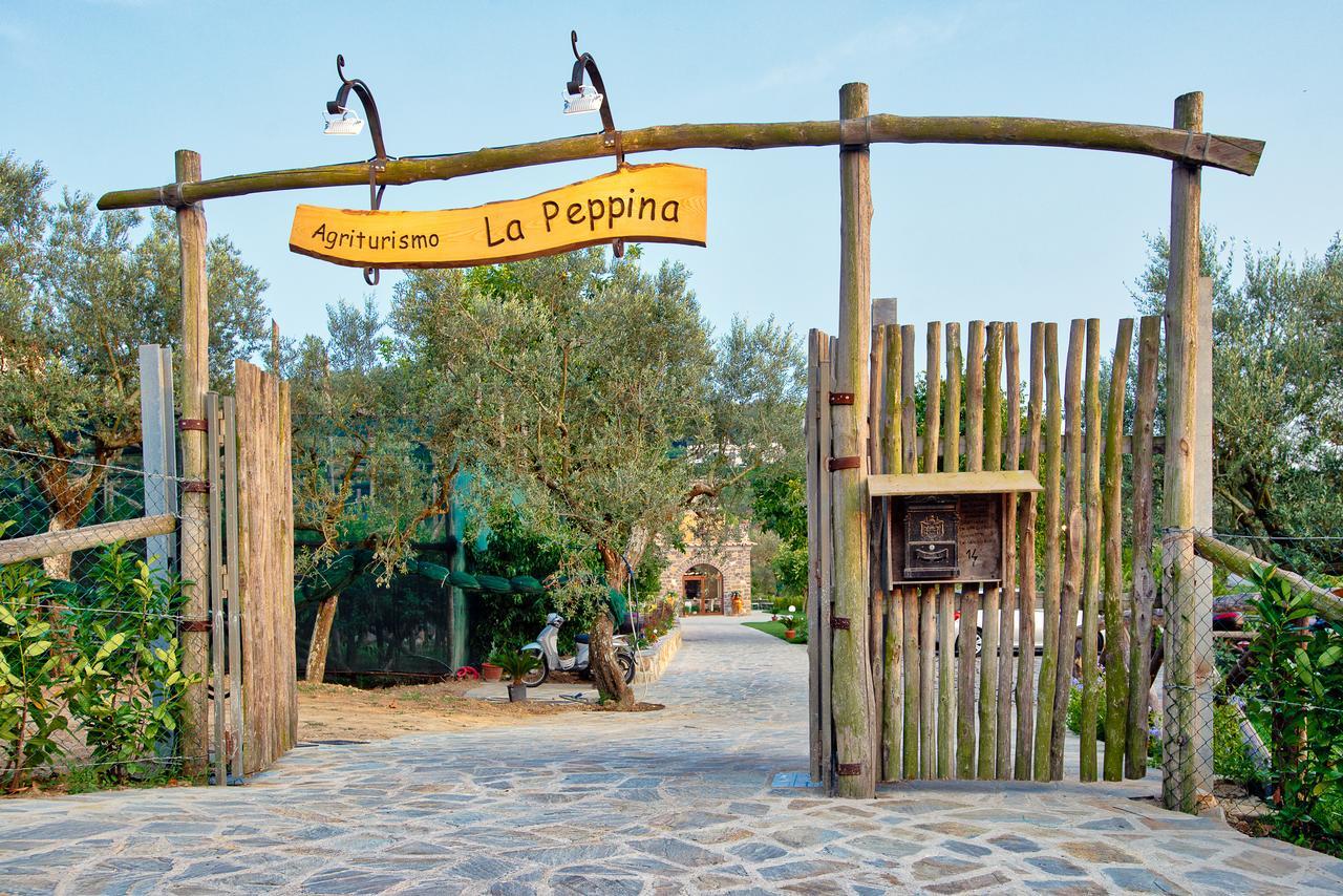 Agriturismo La Peppina Маса Лубрензе Екстериор снимка